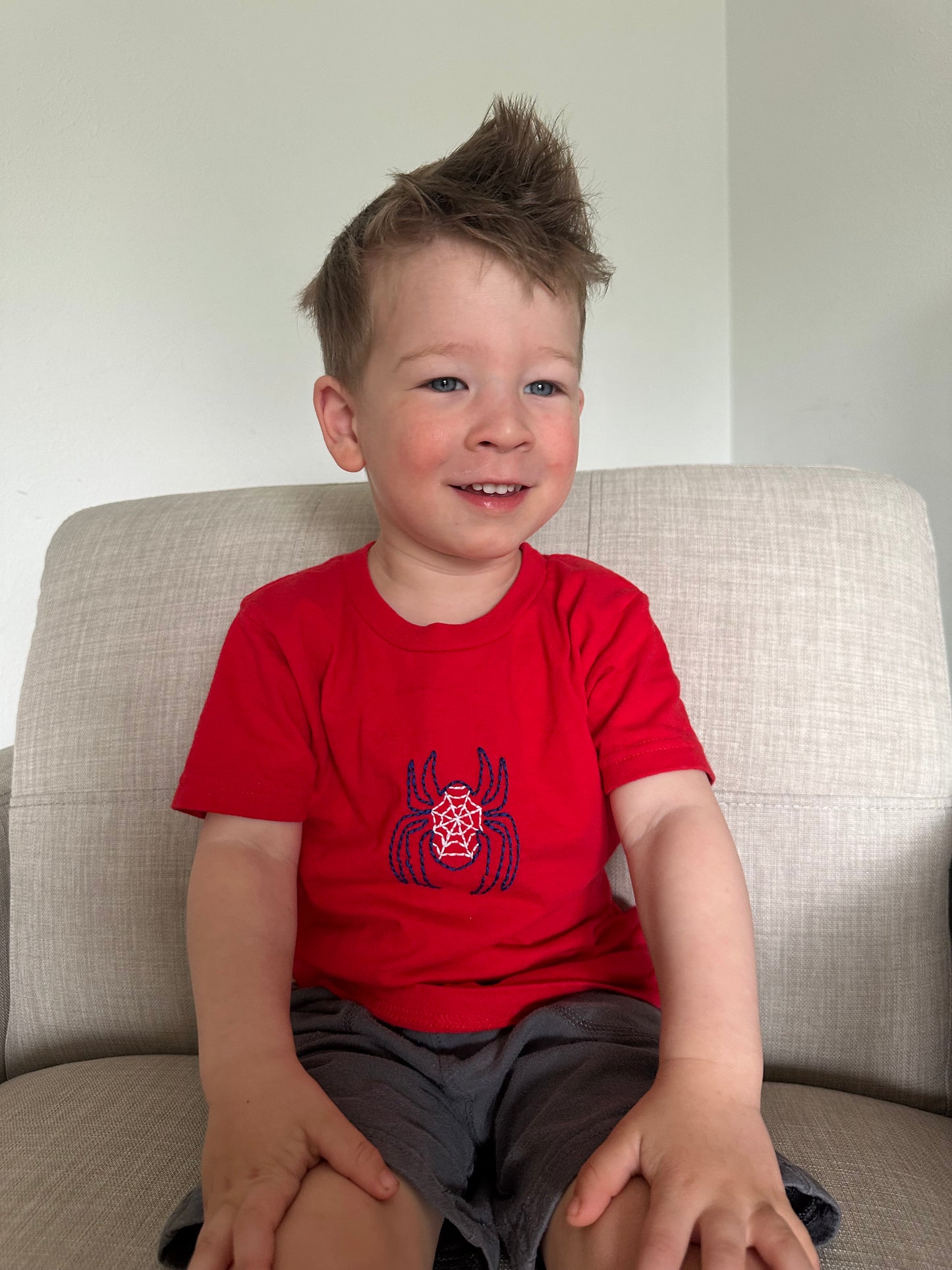 Spider Digital Embroidery Pattern